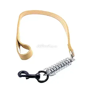Laisse en cuir avec ressort pour chien, 1,1M