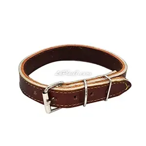 Collier en cuir pour petit et moyen chien, Perros, 41cm