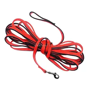 Laisse de dressage en tissu pour chien, 10M