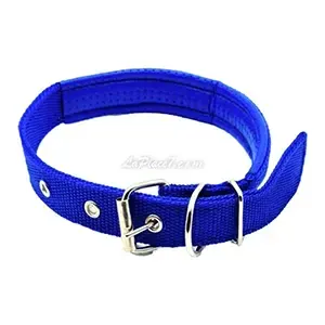 Collier en skai et tissu pour pour moyen et petit chien, Pet Supplies, 59 Cm