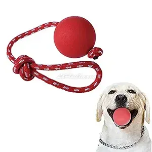 Balle solide en caoutchouc avec corde pour chien, Bomeipet