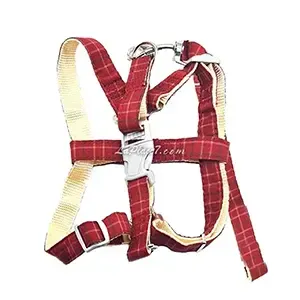 Harnais avec laisse en tissu pour petit chien, AD, Laisse 1,2 Mètre