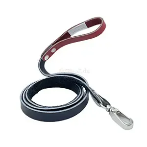 Laisse en cuir pour chien, 1,37m