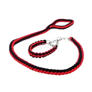 Collier et laisse tressée pour chien, 1,5 M