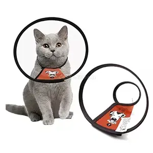 Collerette en plastique pour chaton, PM