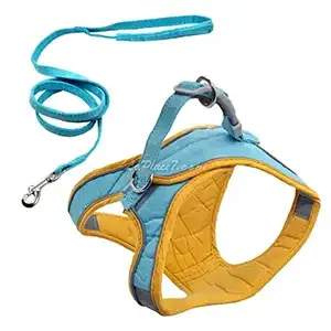 Harnais avec laisse en tissu pour petit et moyen chien