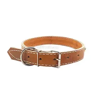 Collier en cuir pour chien, 67 cm